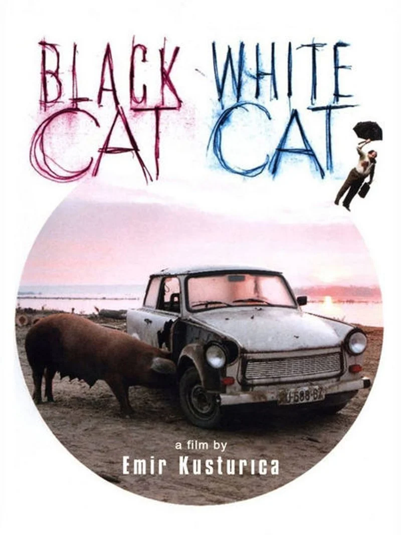 Poster van Black Cat, White Cat