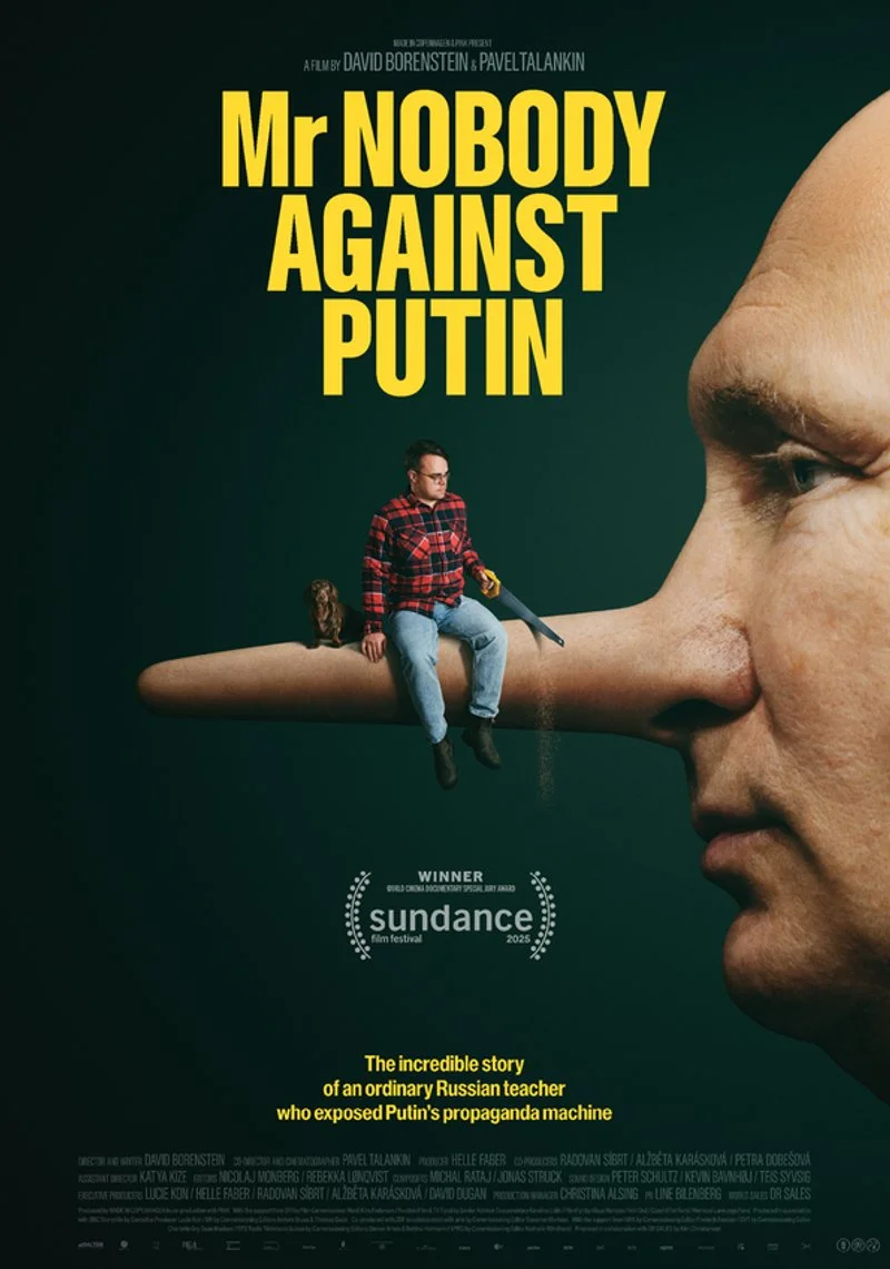 Poster van Mr. Nobody Against Putin