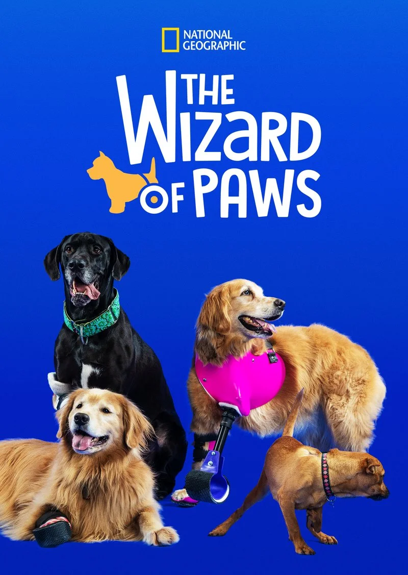 Affiche de The Wizard of Paws