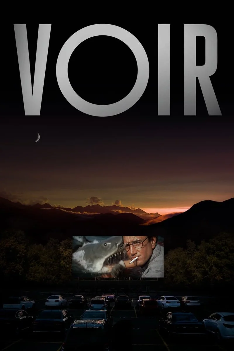 Poster van Voir