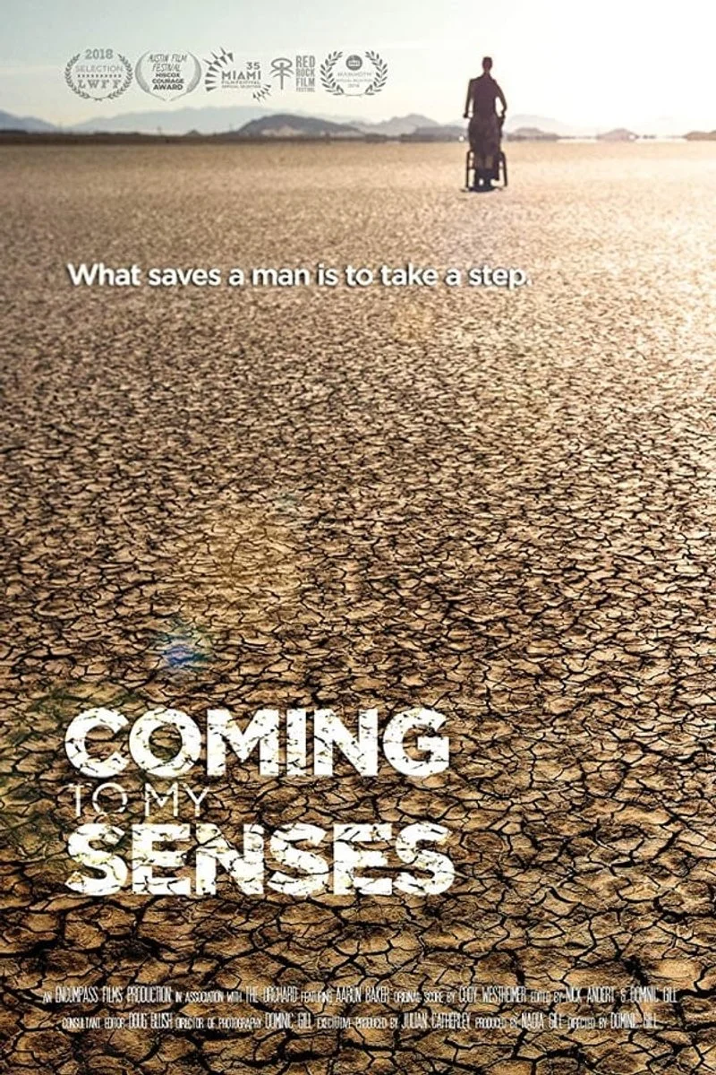 Affiche de Coming to My Senses