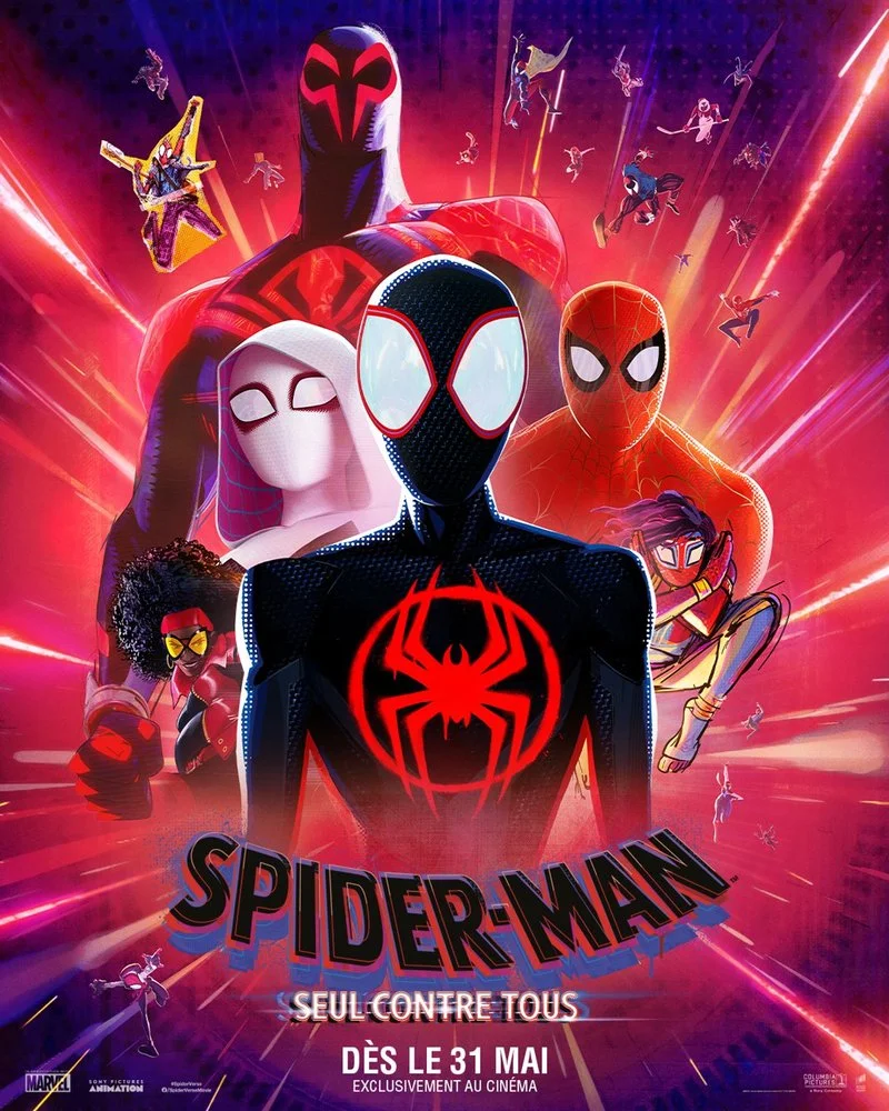 Affiche de Spider-Man : Seul Contre Tous