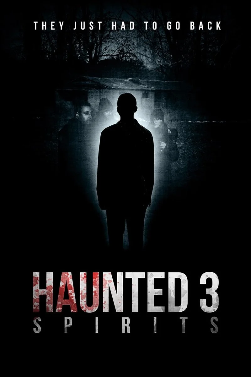 Affiche de Haunted 3 Spirits