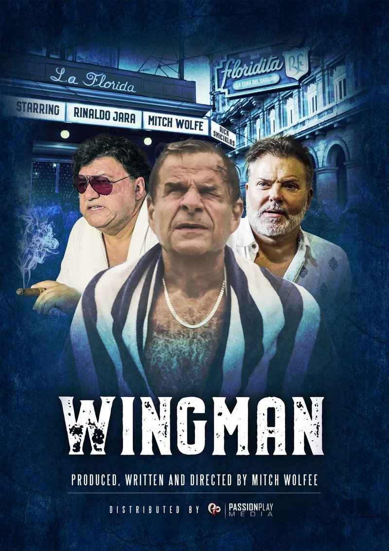 Affiche de Wingman