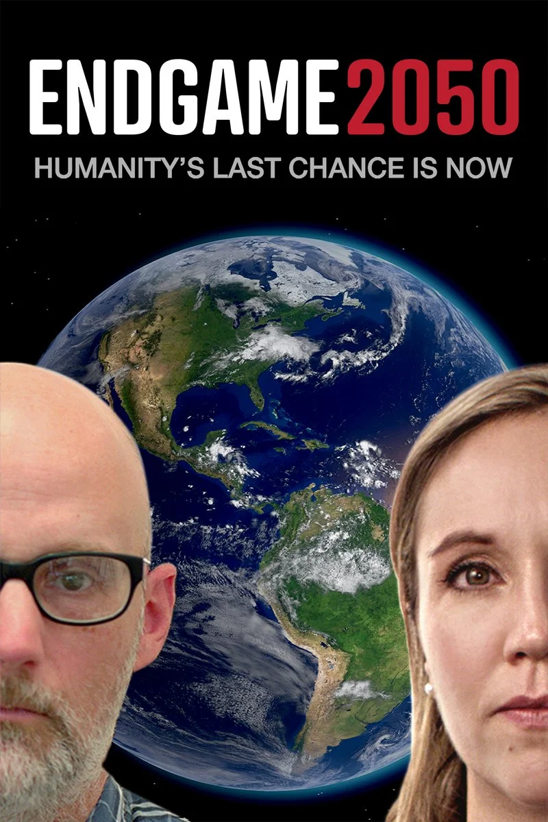 Poster van Endgame 2050