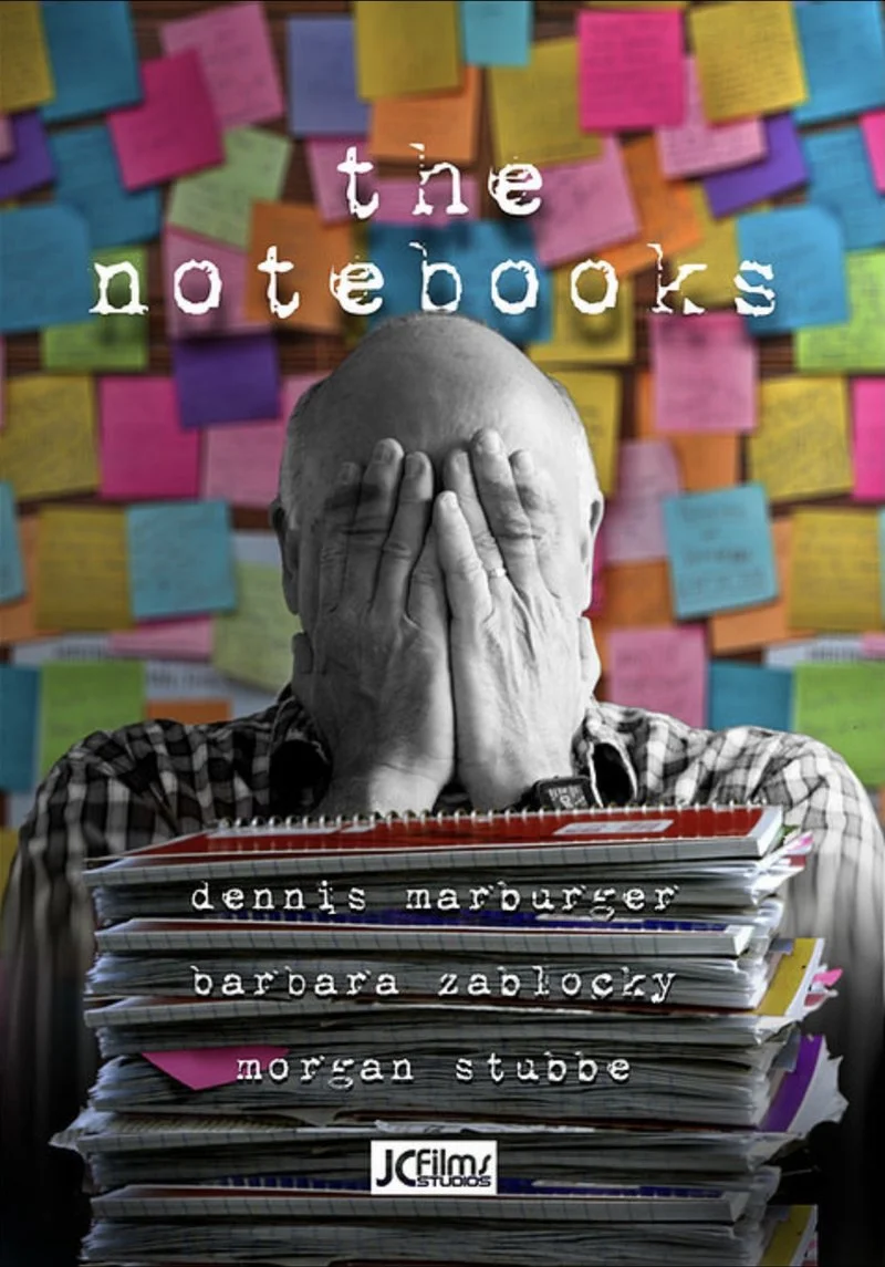 Affiche de The Notebooks