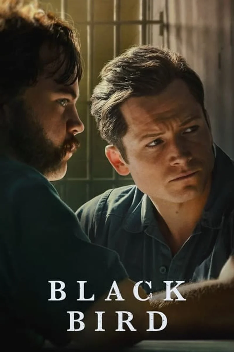 Poster van Black Bird