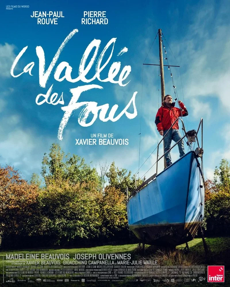Poster van la vallée des fous