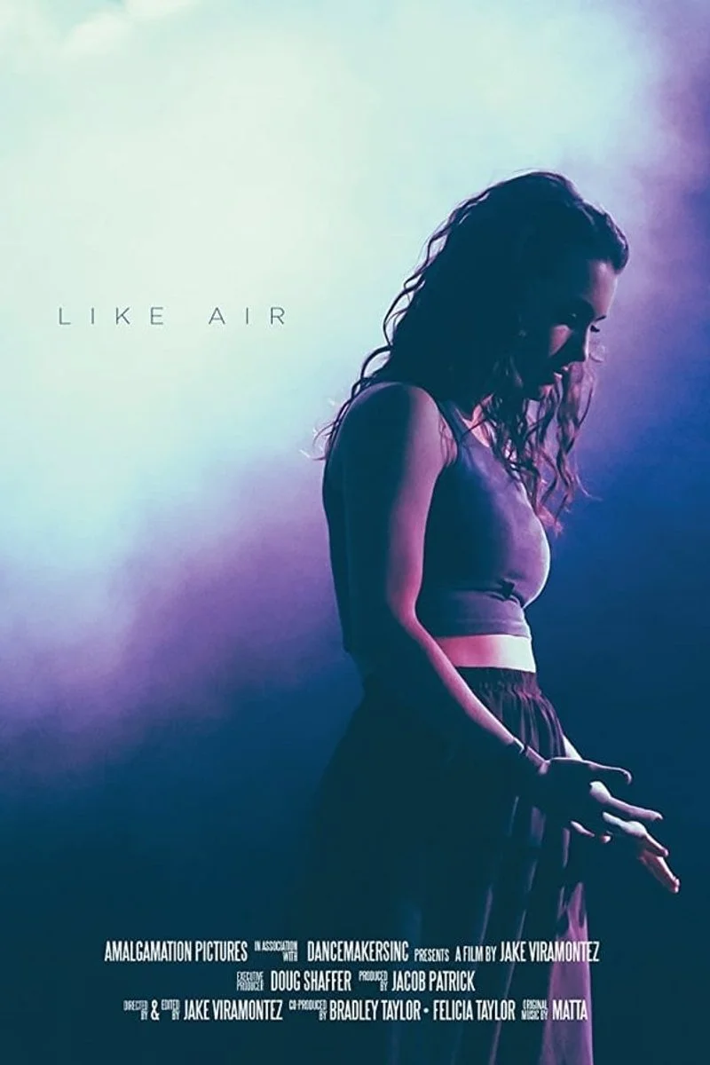Affiche de Like Air