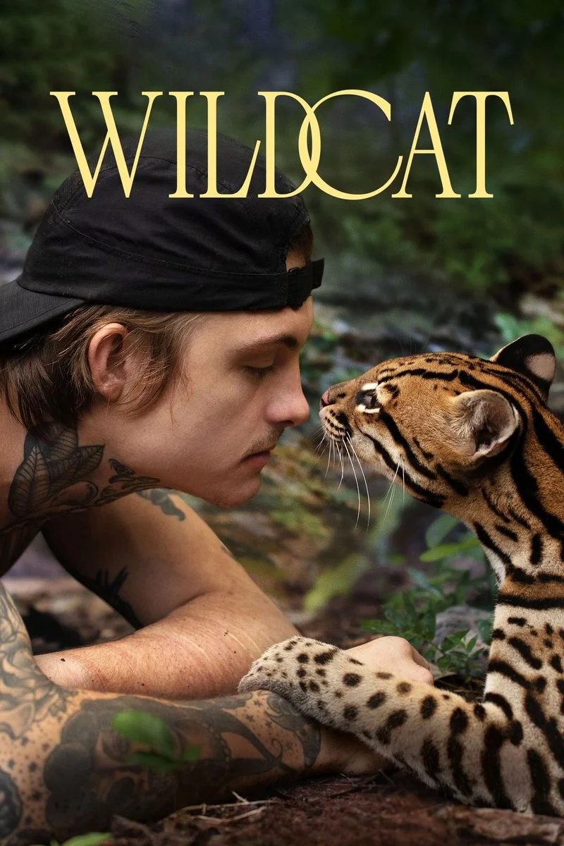 Poster van Wildcat