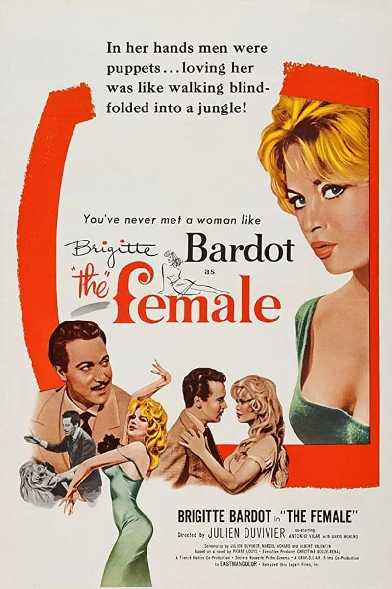 Affiche de La femme et le pantin