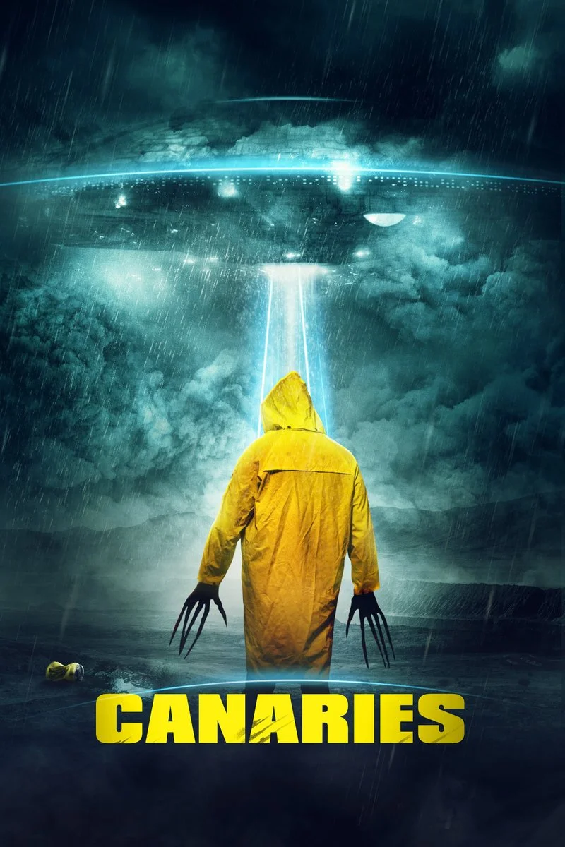 Poster van Canaries
