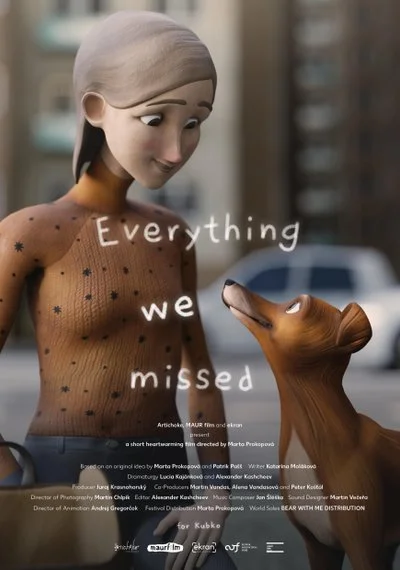 Affiche Everything we missed