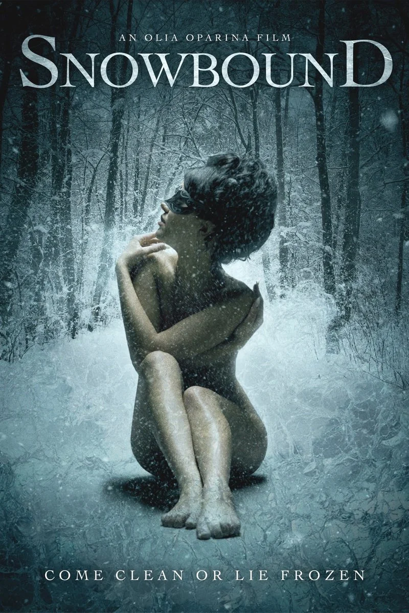 Affiche de Snowbound