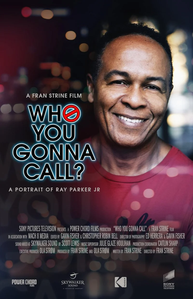 Affiche de Who you gonna call?