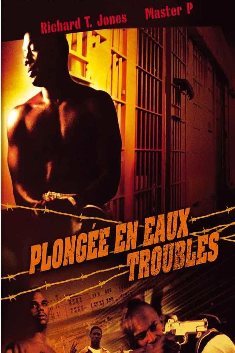 Poster van Plongée en eaux troubles
