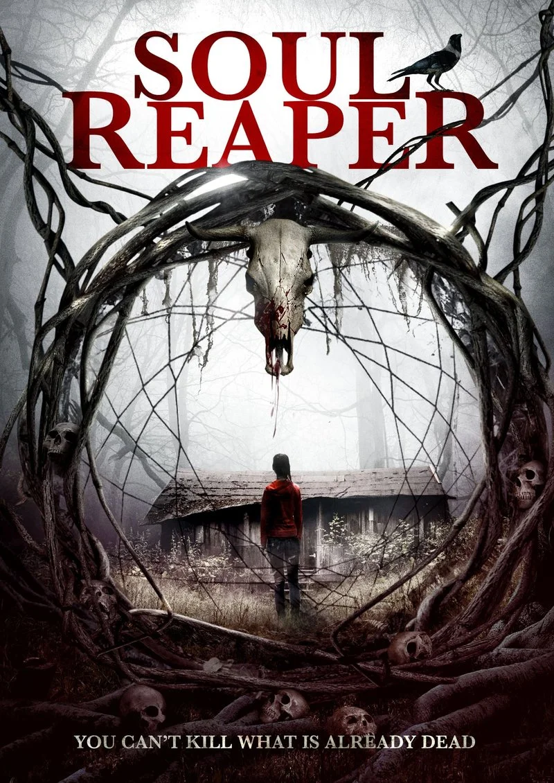 Poster van Soul Reaper