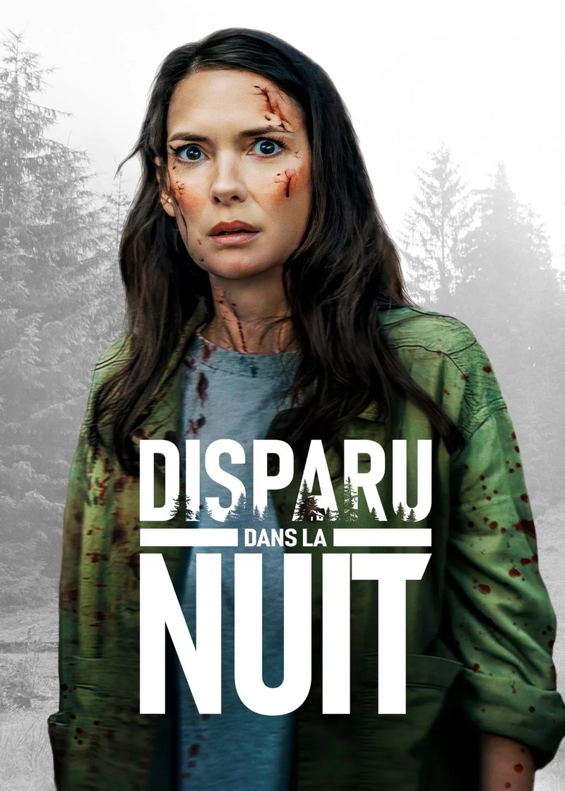 Affiche de Disparu dans la nuit