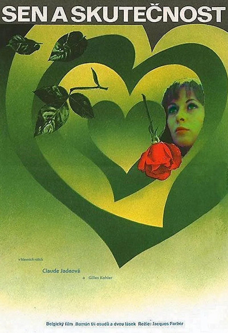 Affiche de Le Choix