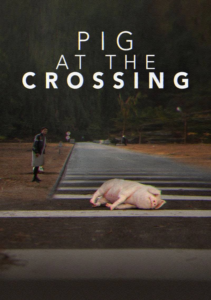 Affiche de Pig at the Crossing
