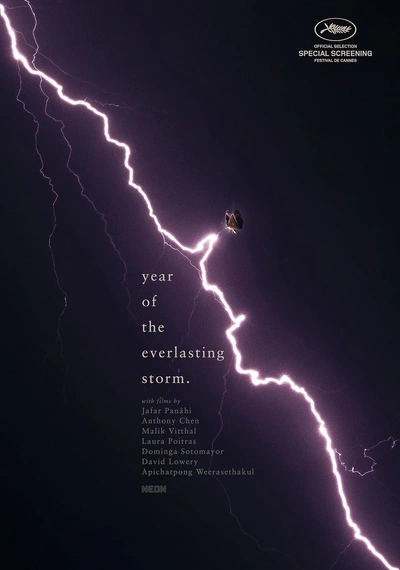 Poster The Year of the Everlasting Storm