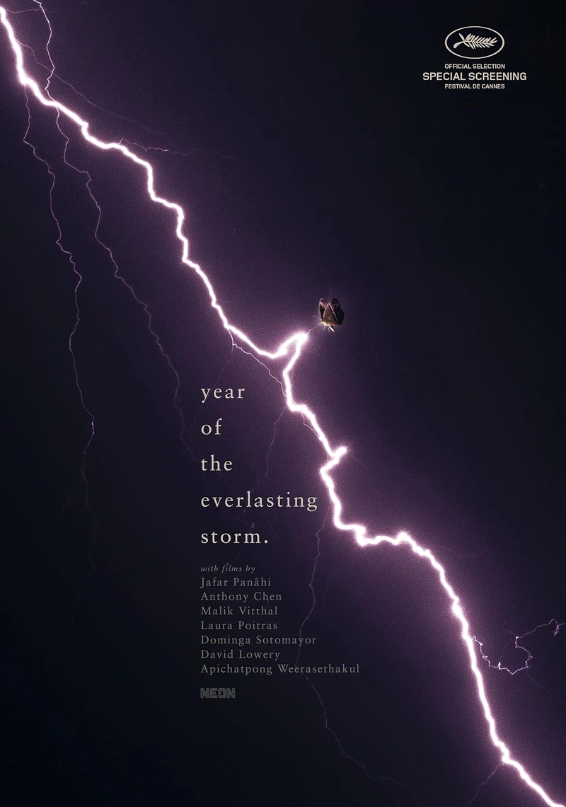 Affiche de The Year of the Everlasting Storm