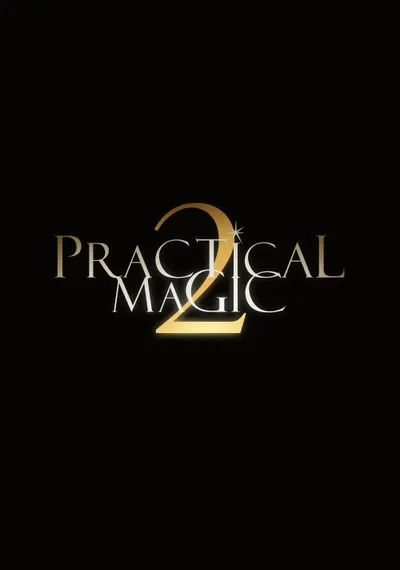 Affiche Practical Magic 2