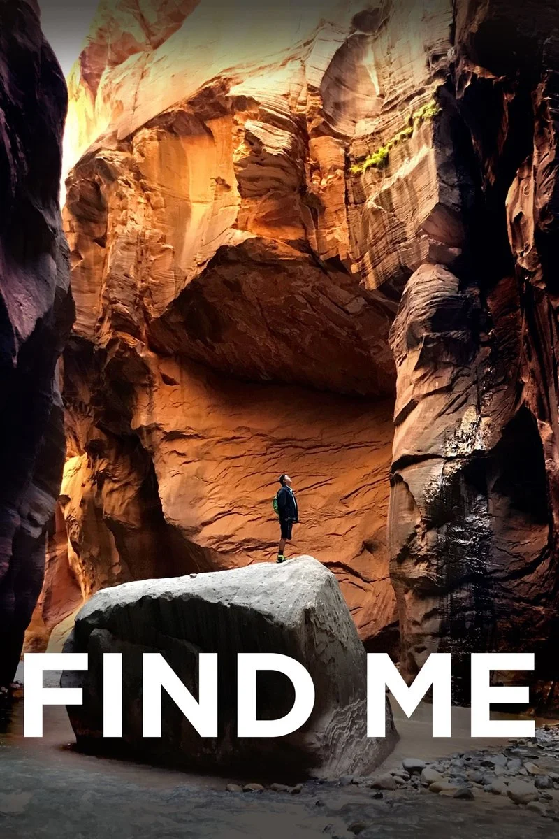 Poster van Find Me