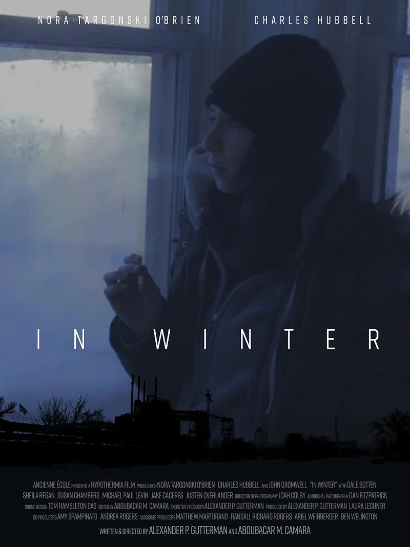 Affiche de In Winter