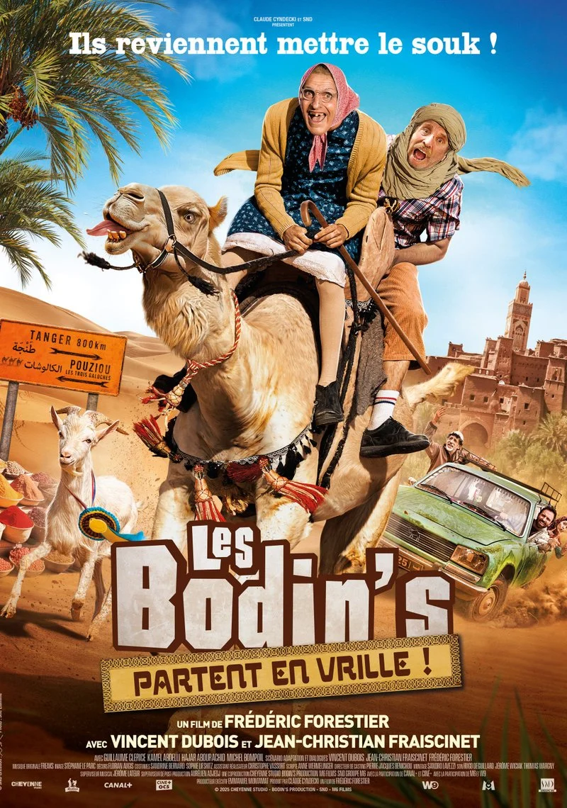 Affiche de Les Bodin’s partent en vrille