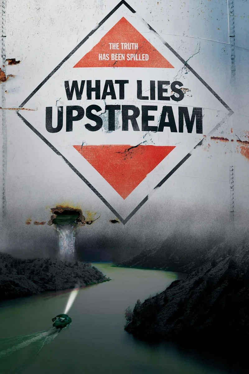 Affiche de What Lies Upstream