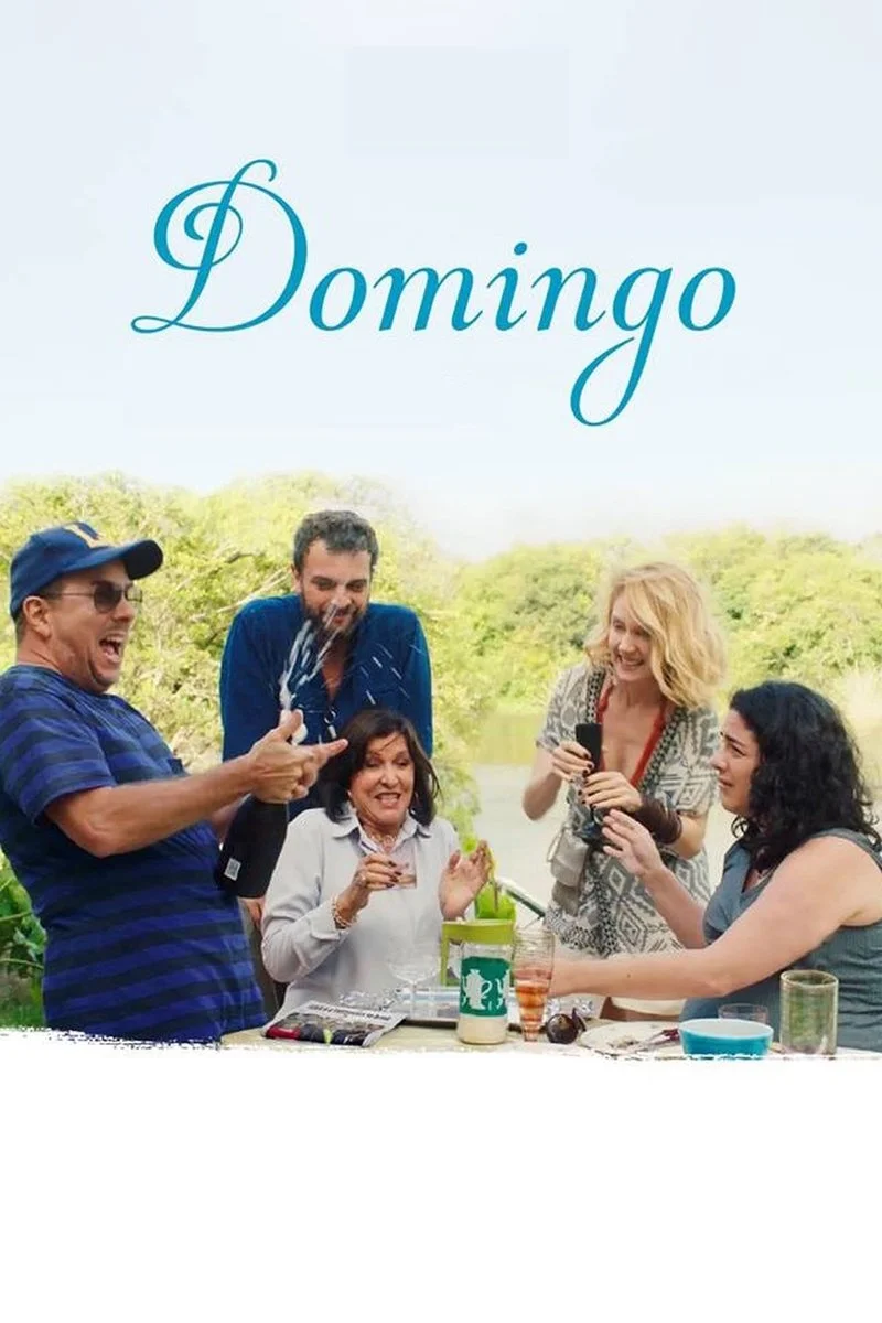 Affiche de Domingo
