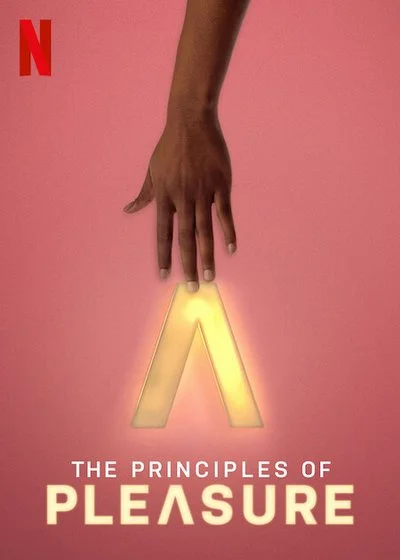 Affiche Les Principes du plaisir