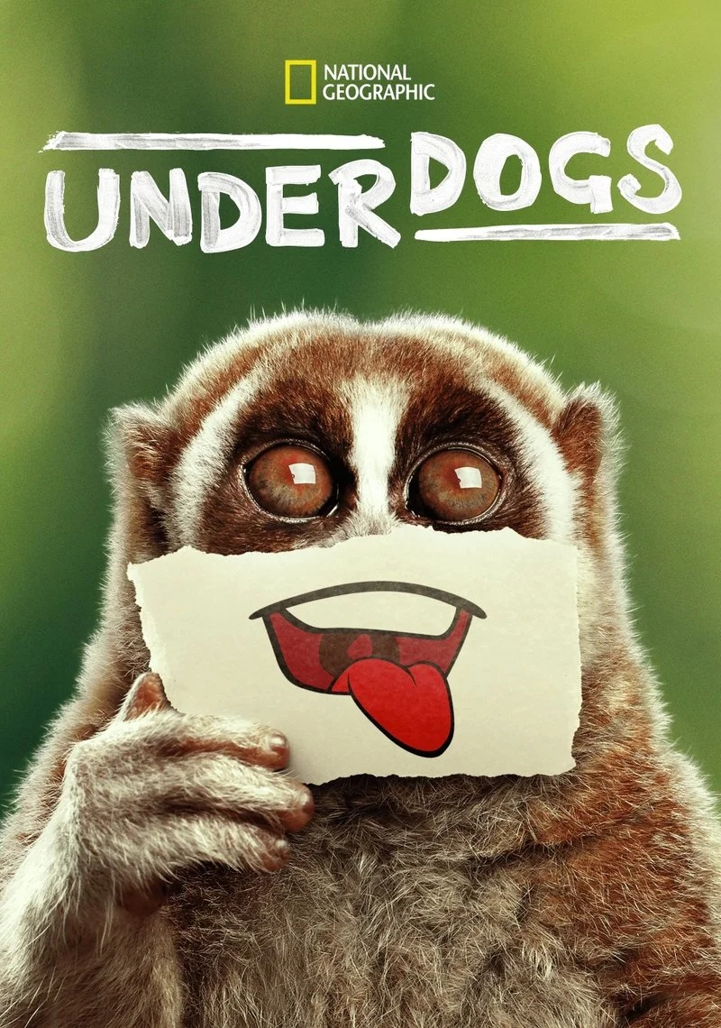 Affiche de Underdogs