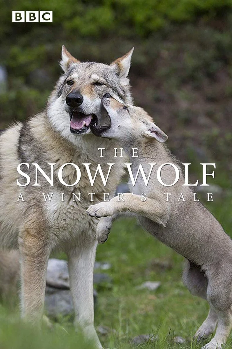 Poster van The snow wolf: a winter's tale