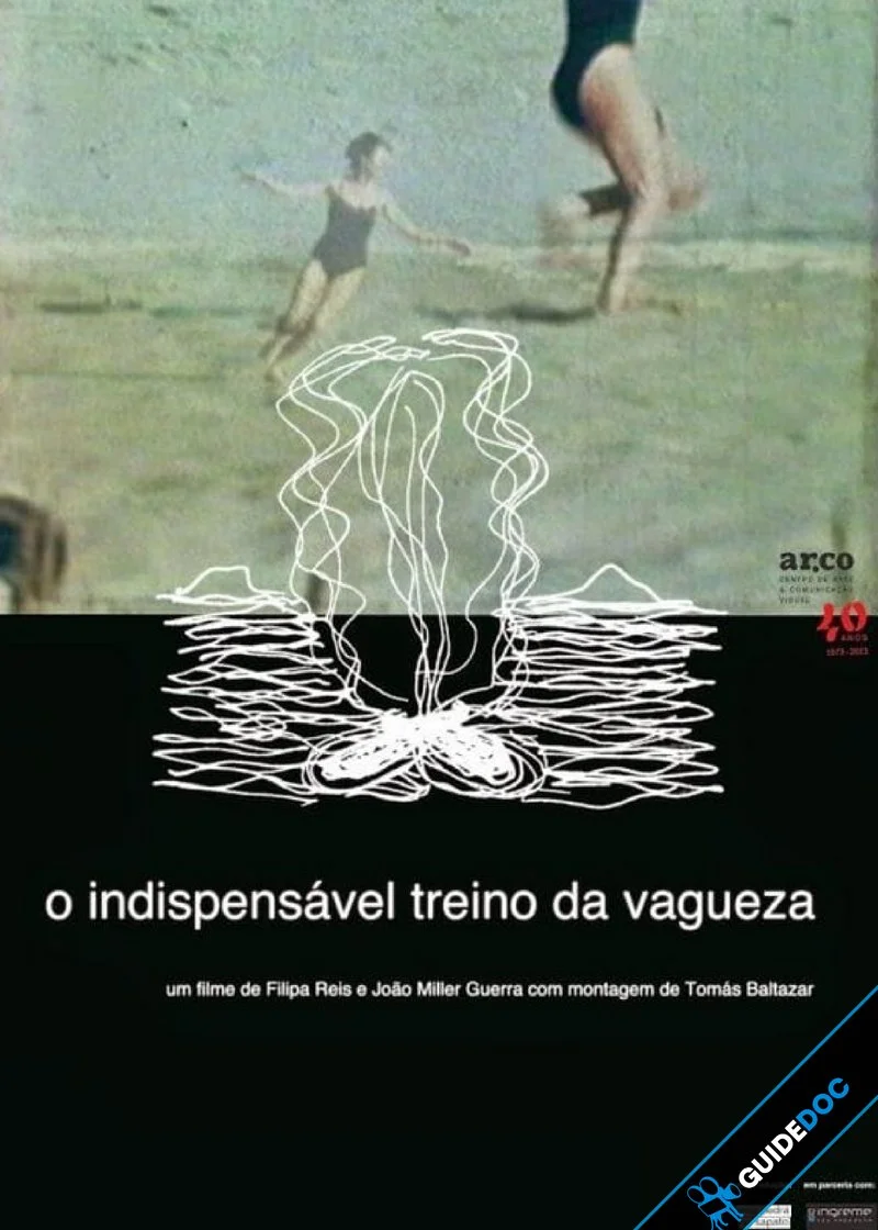 Affiche de The Indispensable Practice of Vagueness