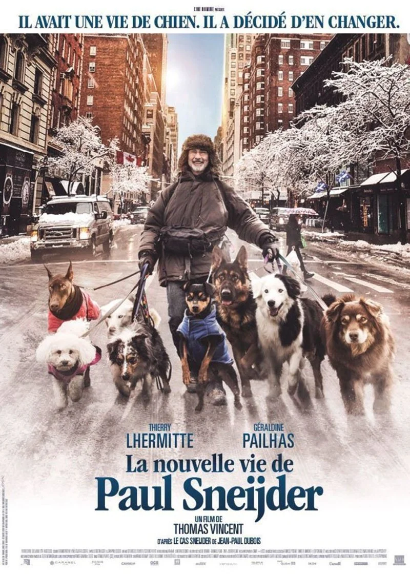 Affiche de La nouvelle vie de Paul Sneijder