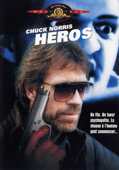 Affiche Hero and the Terror