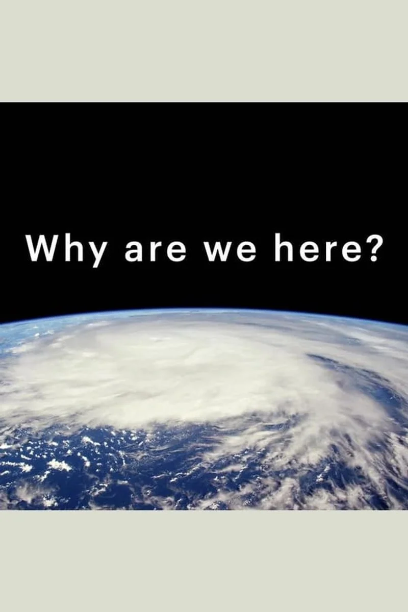 Affiche de Why Are We Here?