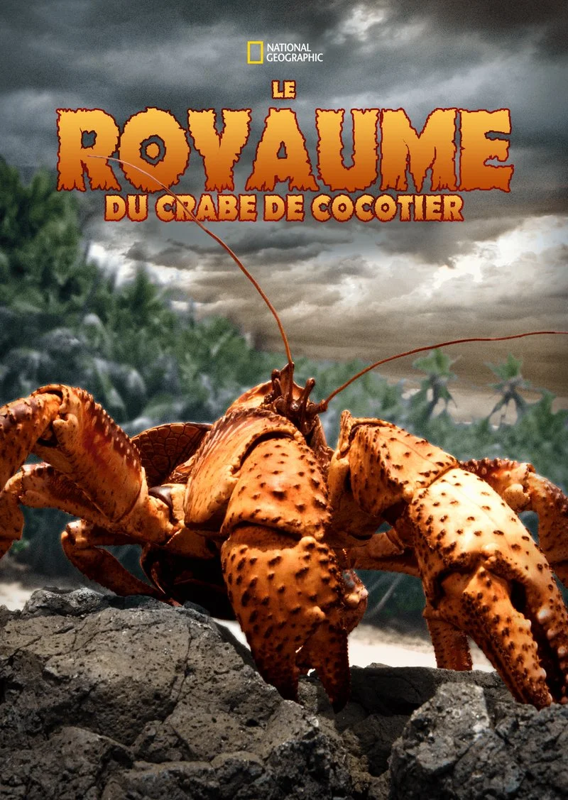 Affiche de Le royaume du crabe de cocotier