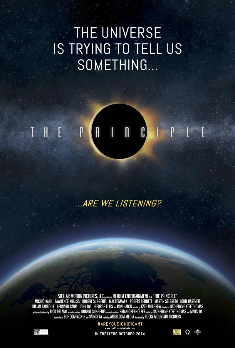 Affiche de The Principle