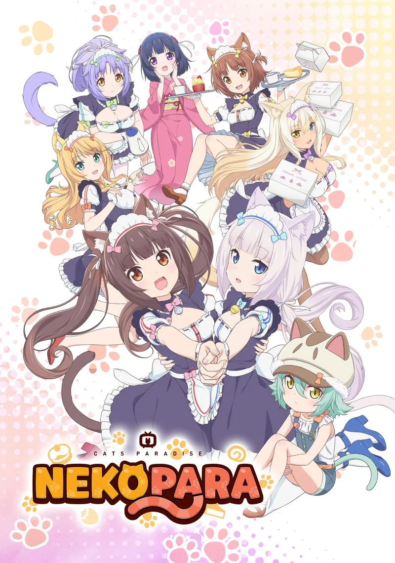 Affiche de Nekopara
