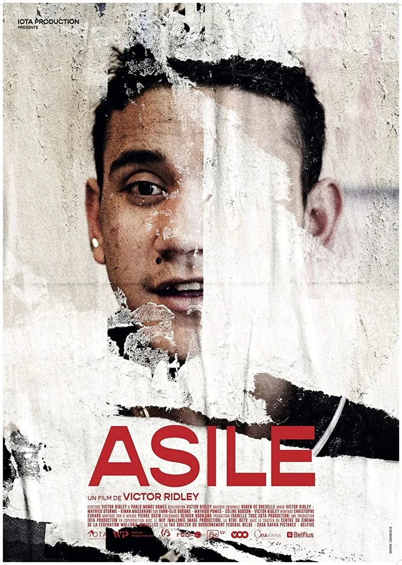 Affiche de Asile
