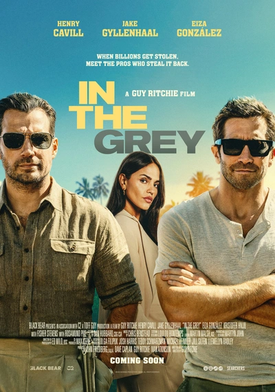 Affiche In the Grey