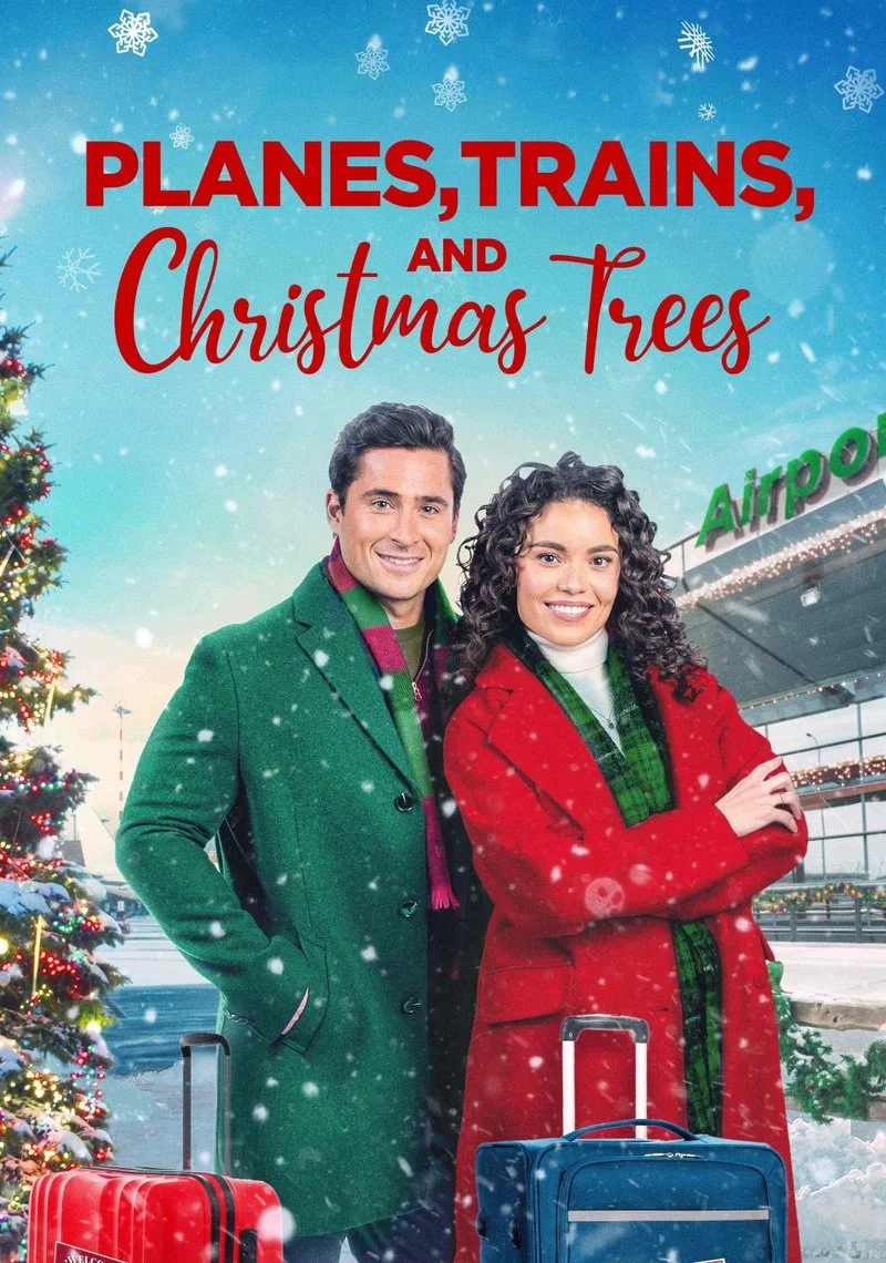 Affiche de La tempête de Noël