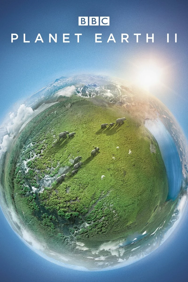 Poster van Planet Earth II