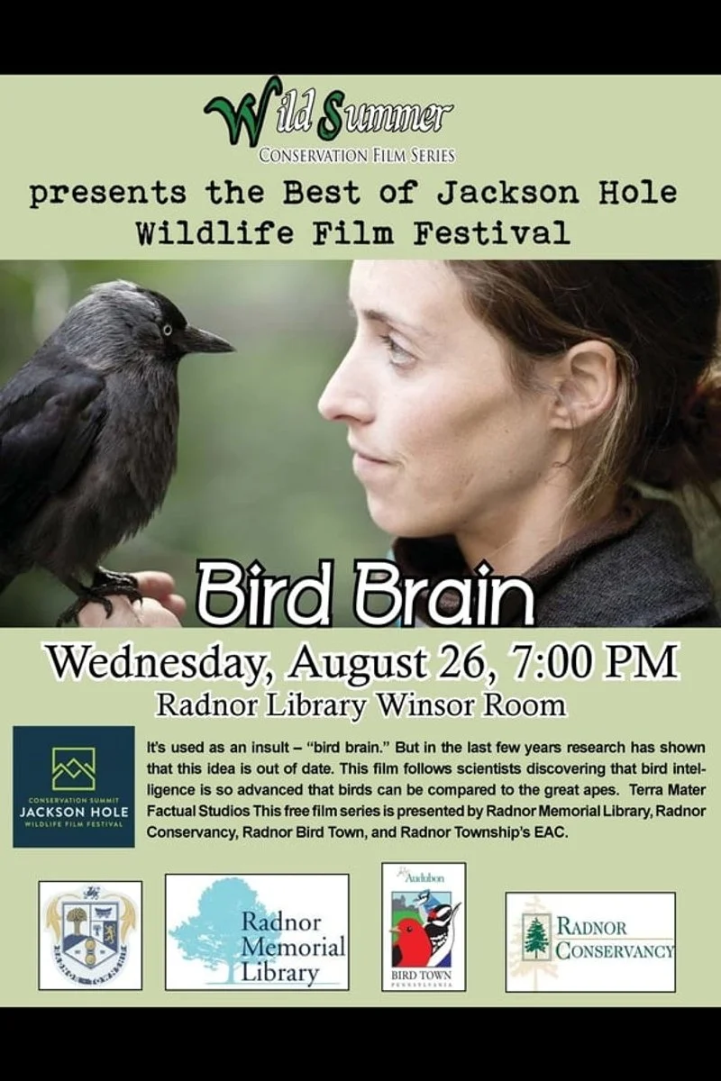 Poster van Bird Brain