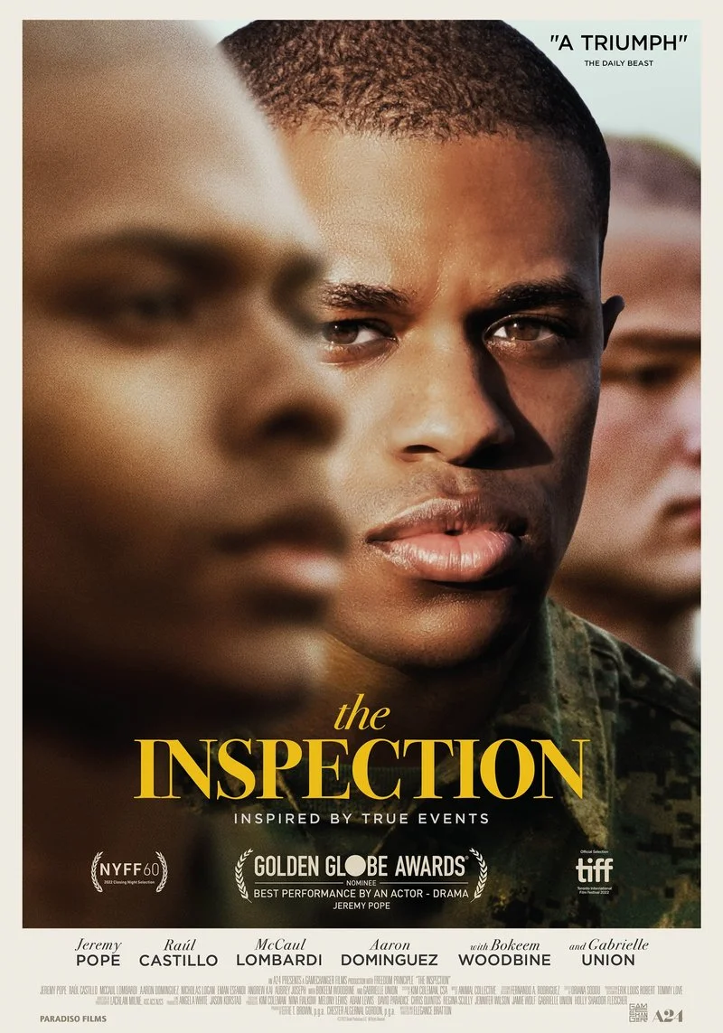 Poster van The Inspection