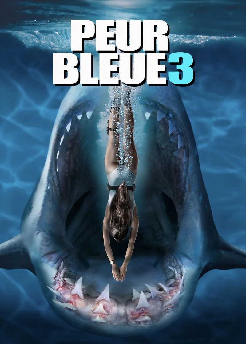 Affiche de Peur bleue 3