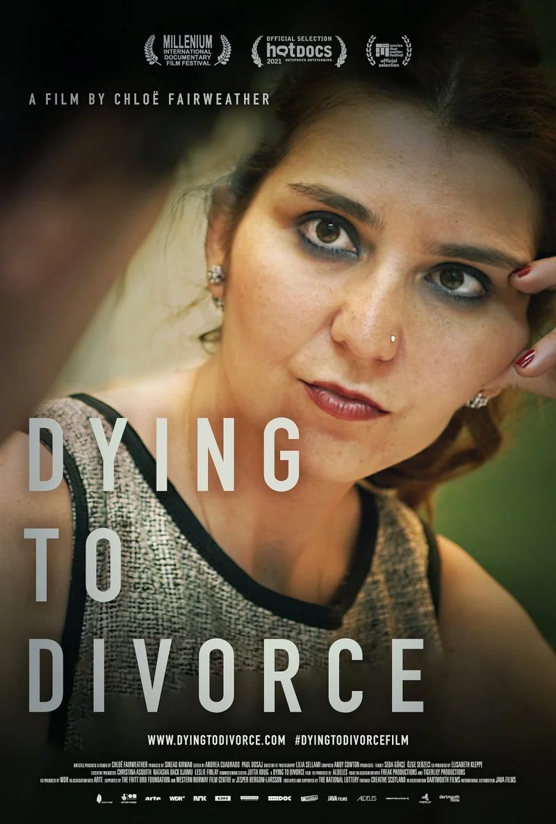 Affiche de Dying to divorce